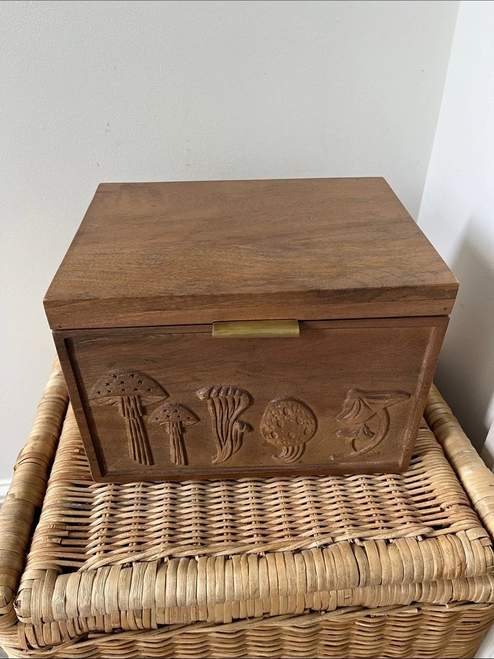 Anthropologie Terrain Mushroom Seed Storage Box NWT